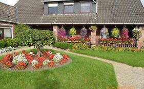 Schmidtfewo Moorgeist